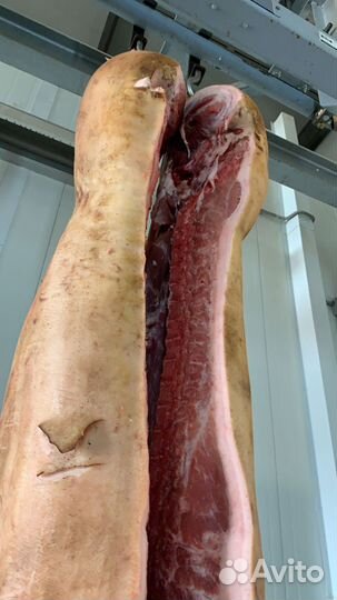 Мясо свинина,говядина домашняя