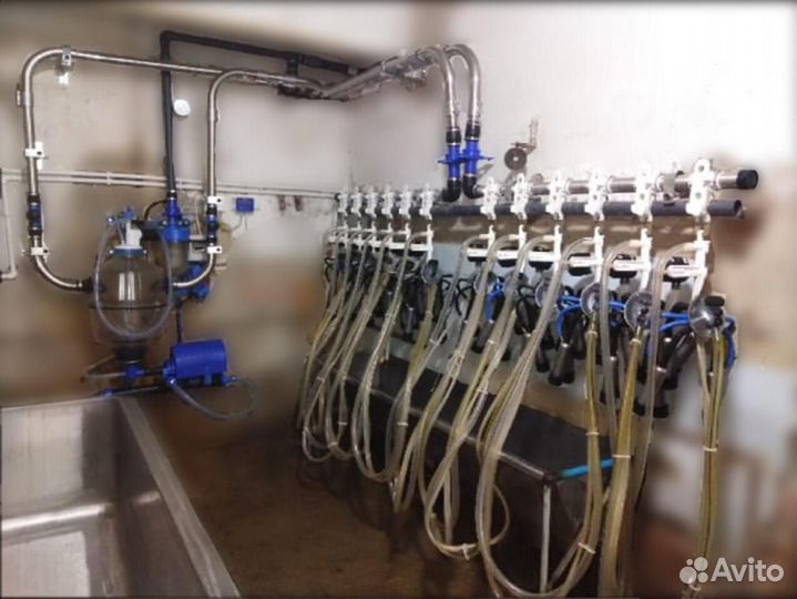 Молокопроводы, стойло, поение для крс