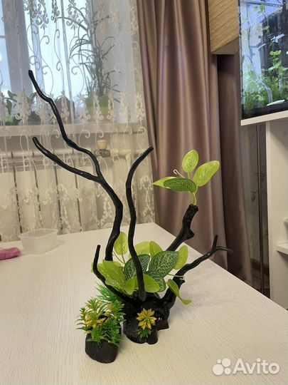 Коряга в аквариум