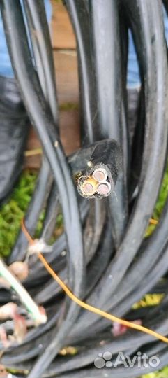 Кабель ввг 3*10