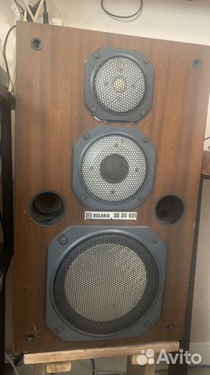 Колонки эстония 35 ас-021