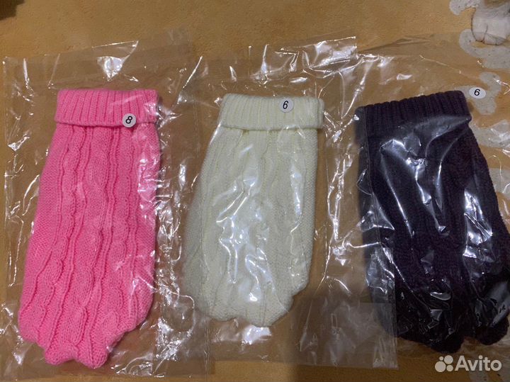 Одежда и аксесуары для собак