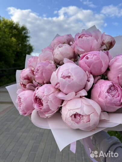 Пионы букет из пионов цветы доставка