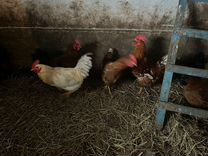 пожары в марий эл 2021. многоквартирные дома. пожар в йошкар оле. многоэтажный дом. пожар в йошкар оле.