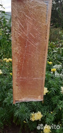 Мед/Мёд натуральный