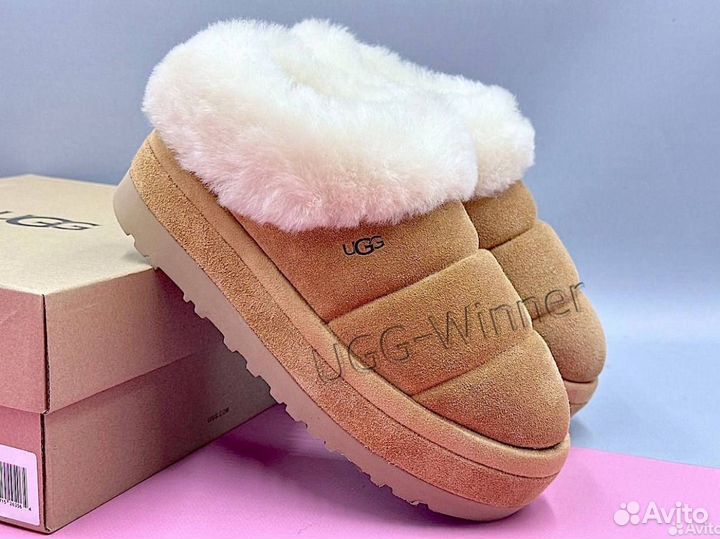 Ugg женские на платформе замшевые дутики Tazzlita