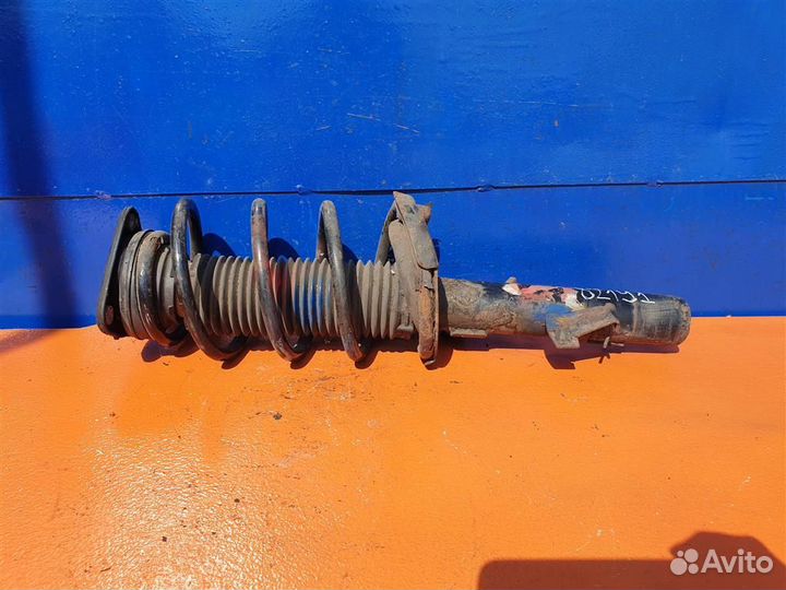 Амортизатор передний левый Ford Focus 2 C-Max