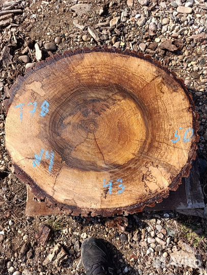 Спилы/слэбы ореха в наличии