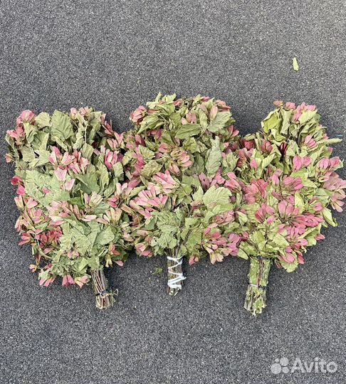 Веники для бани