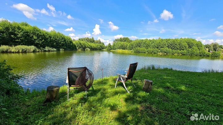 Платная рыбалка