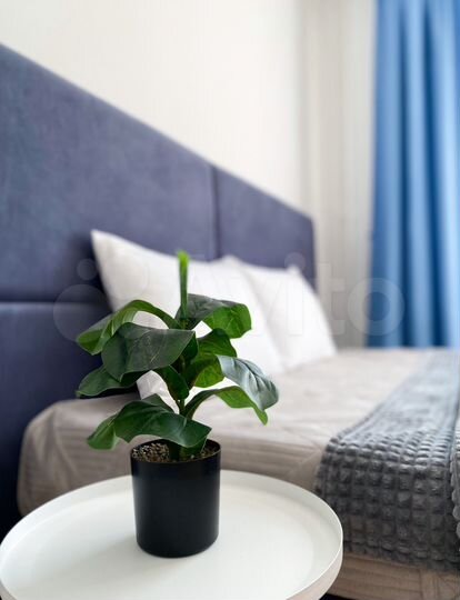 Квартира-студия, 24 м², 13/17 эт.