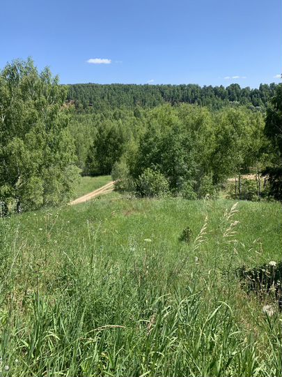 Участок 6,5 сот. (СНТ, ДНП)