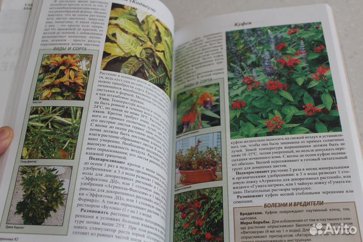 Книга О.Ганичкина 