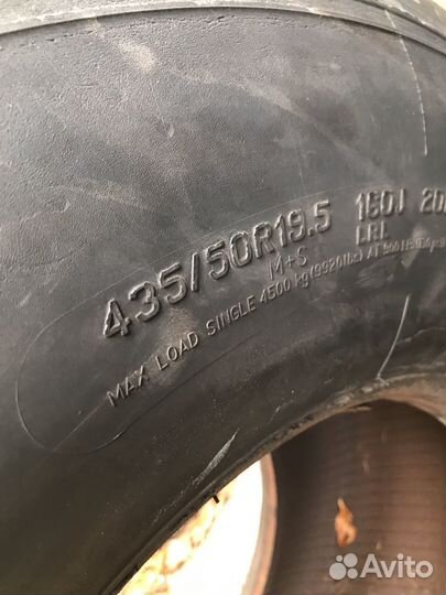 R19.5 435/50