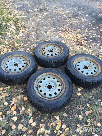 КАМА 505 Irbis 175/65 R14