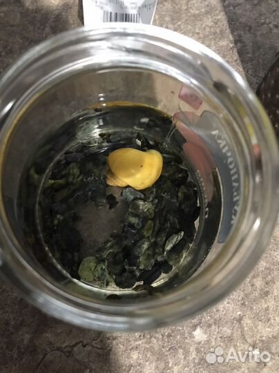 Аквариум для рыбок