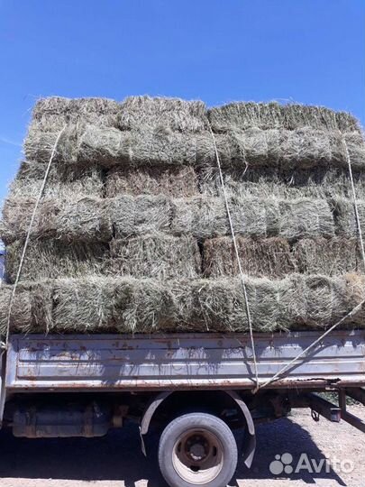 Сено в тюках
