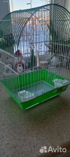 Клетка для попугая