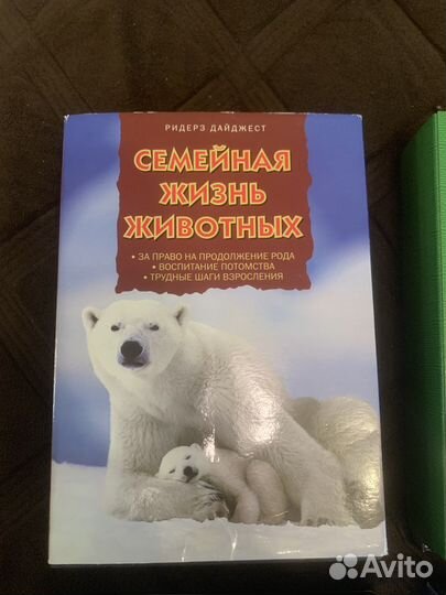 DVD диски разные