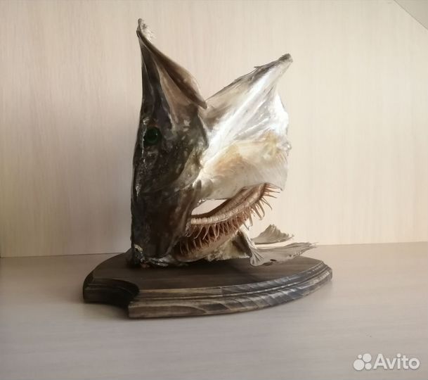 Чучело щуки