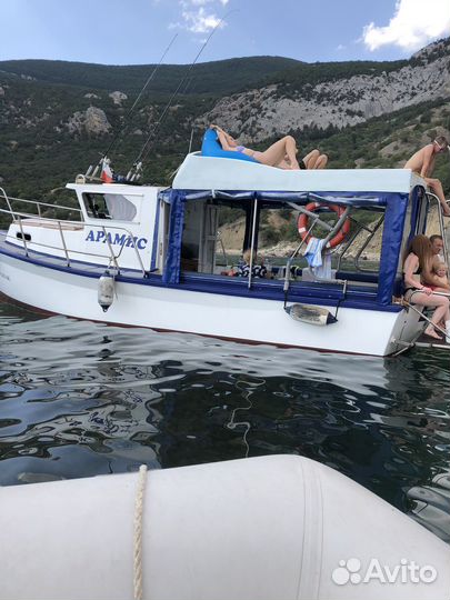 В море к дельфинам