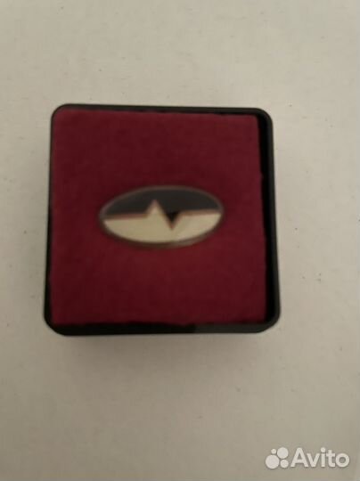 Значок выпускника ншдл