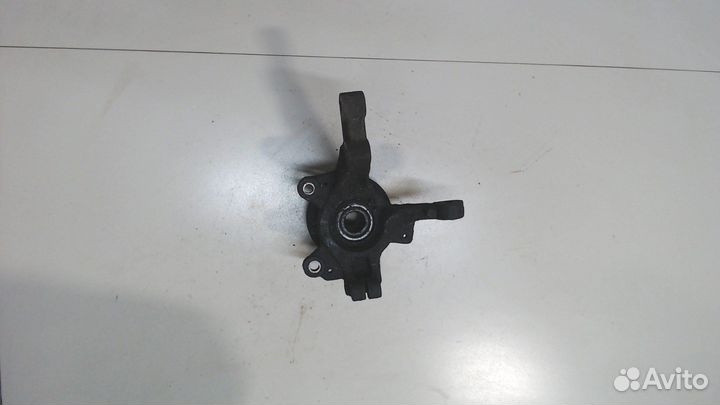 Ступица (кулак, цапфа) Renault Clio, 2010