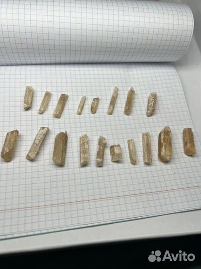 Дамбуриты Малхан