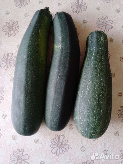 Огурцы, Кабачки