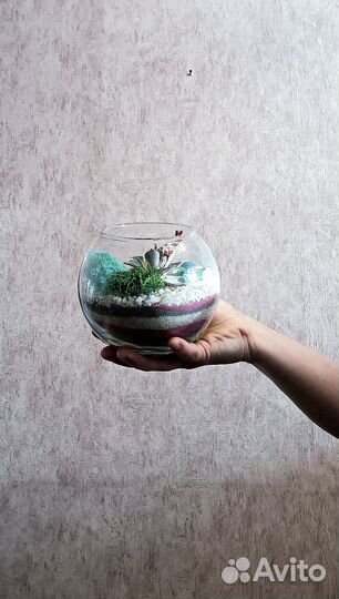 Флорариум, подарок, вместо цветов