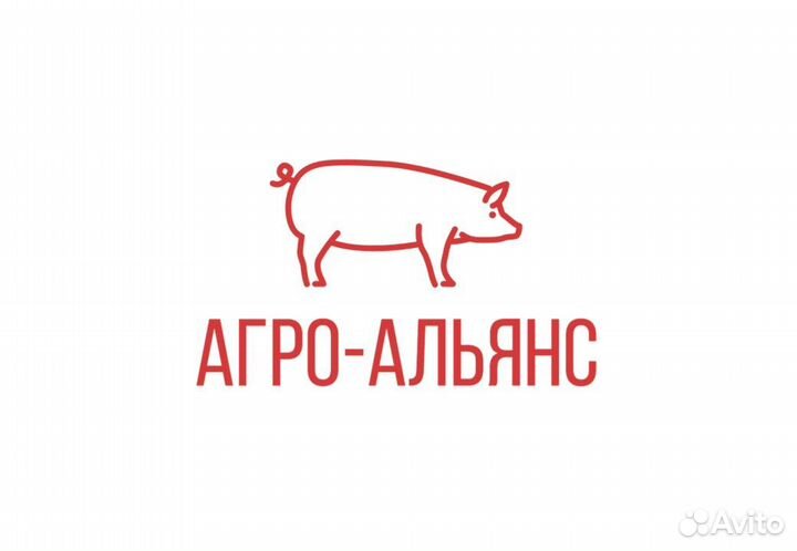 Водитель автомобиля (кормовоз)