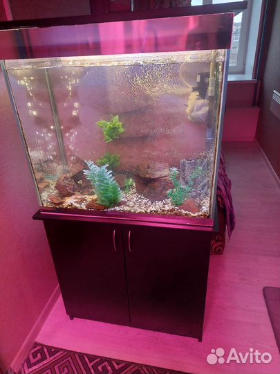 Аквариум
