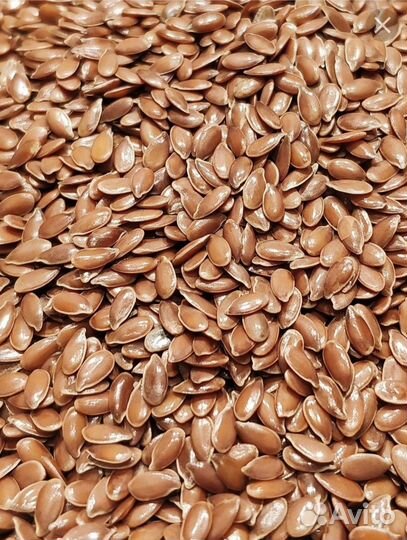 Семена льна вторая репродукция сорт август