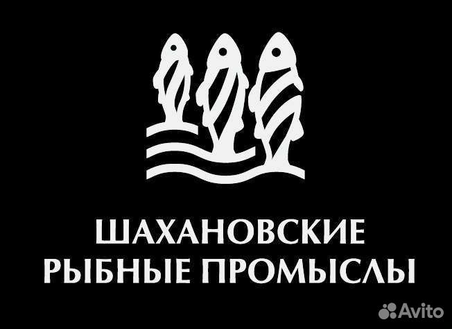 Продавец в магазин-гастропространство