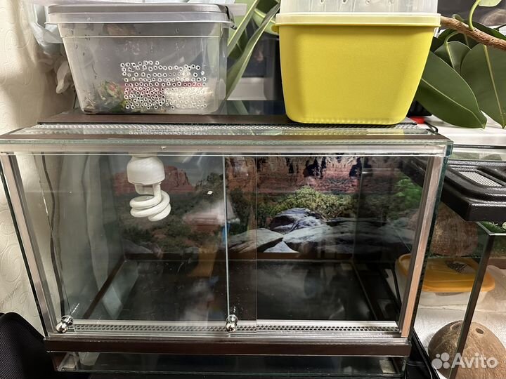 Террариум для рептилий с лампой и ковриком