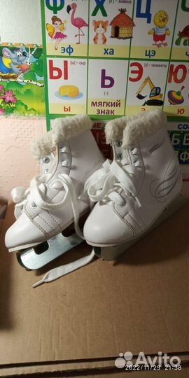 Зимние виды