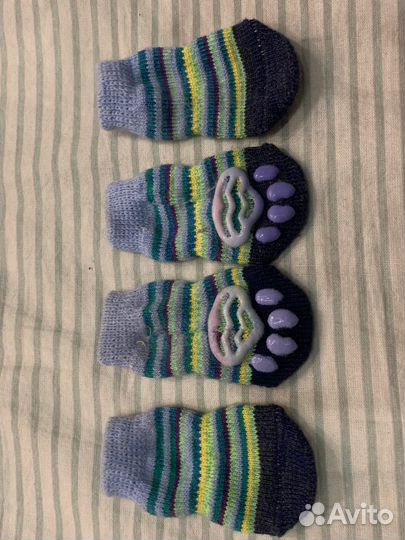 Носочки для щенка