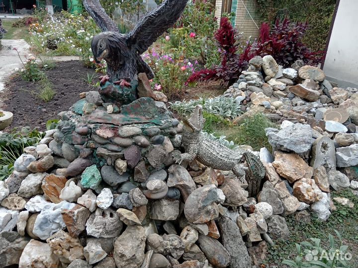 Минералы. Окаменелости. Септарии. Жеоды. Аммониты