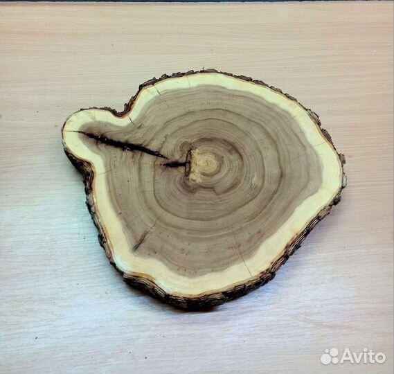 Спилы дерева