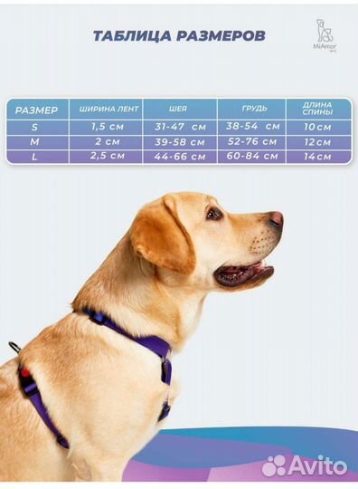 Шлейки для собак средних пород