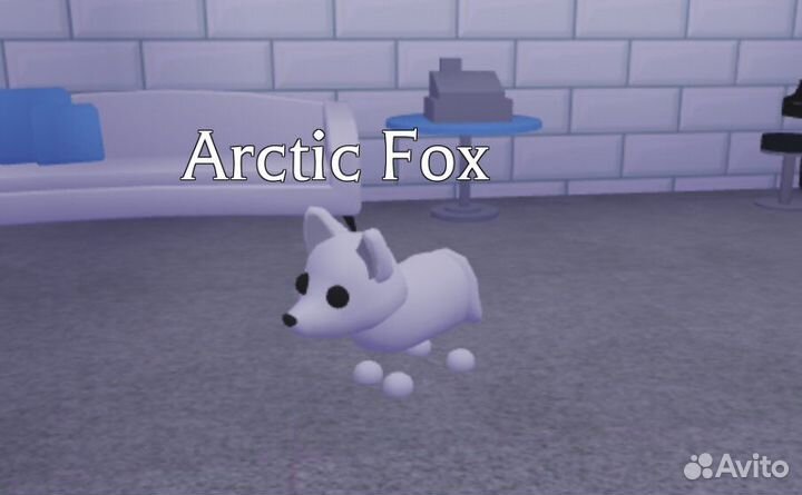 Арктическая лиса адопт ми