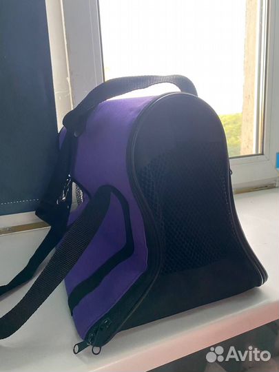 Рыжий котенок мальчик в добрые руки