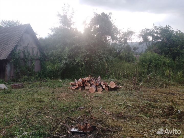 Покос травы, спил деревьев