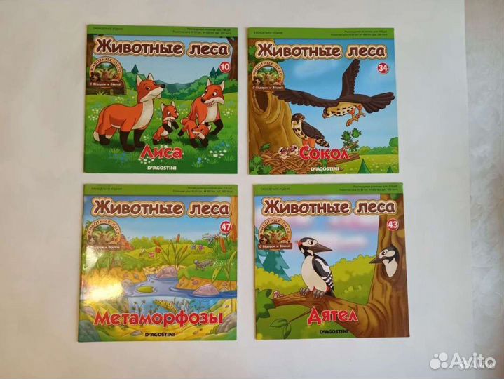 Книги для первого чтения: животные и растения леса