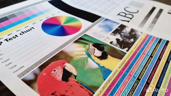 Мфу лазерный цветной brother DCP-9020CDV