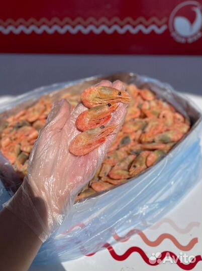 Креветка Северная 5 кг 90-120