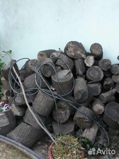 Поленья абрикос