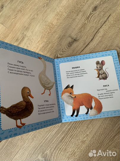 Книга для детей Мои первые картинки и стихи Робинс