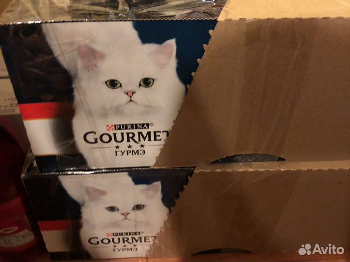 Корм для кошек Gourmet