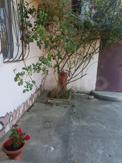 Комната 20 м², 1/1 эт.